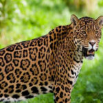 IMG-20260523-WA0023